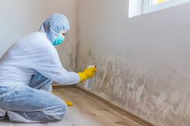 Best Asbestos and Lead Testing During Mold Inspection  in North Patchogue, NY